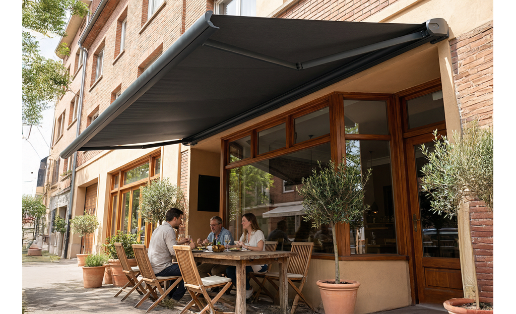 Store banne électrique coffre Perseus