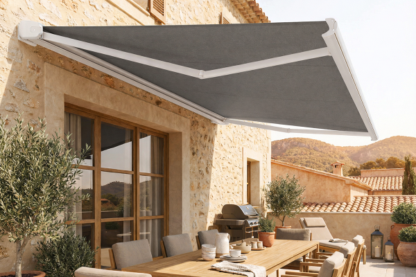 Store banne coffre Pegasus 2