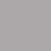 Acrylique - T131 Gris clair